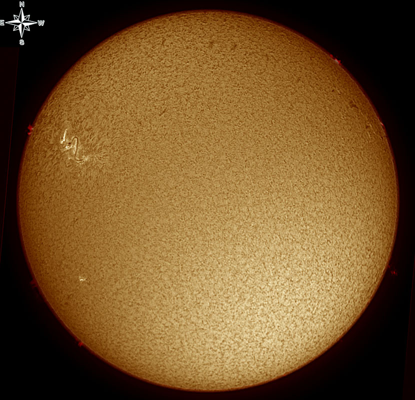 Solar Disk in h-alpha 7/11/2010