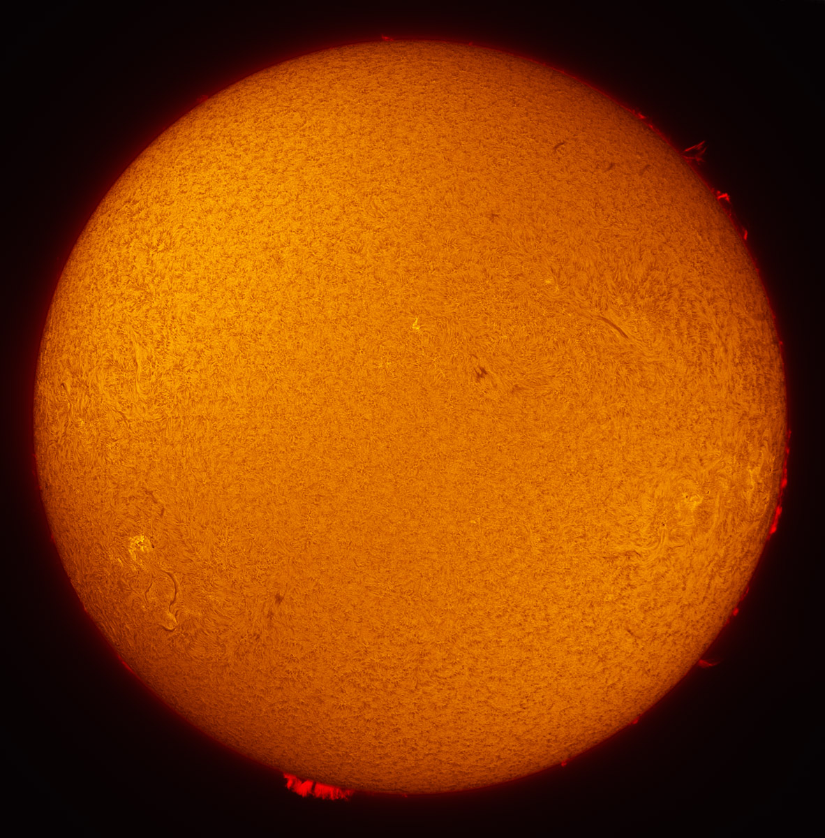 Solar Disk in h-alpha 07/12/2013