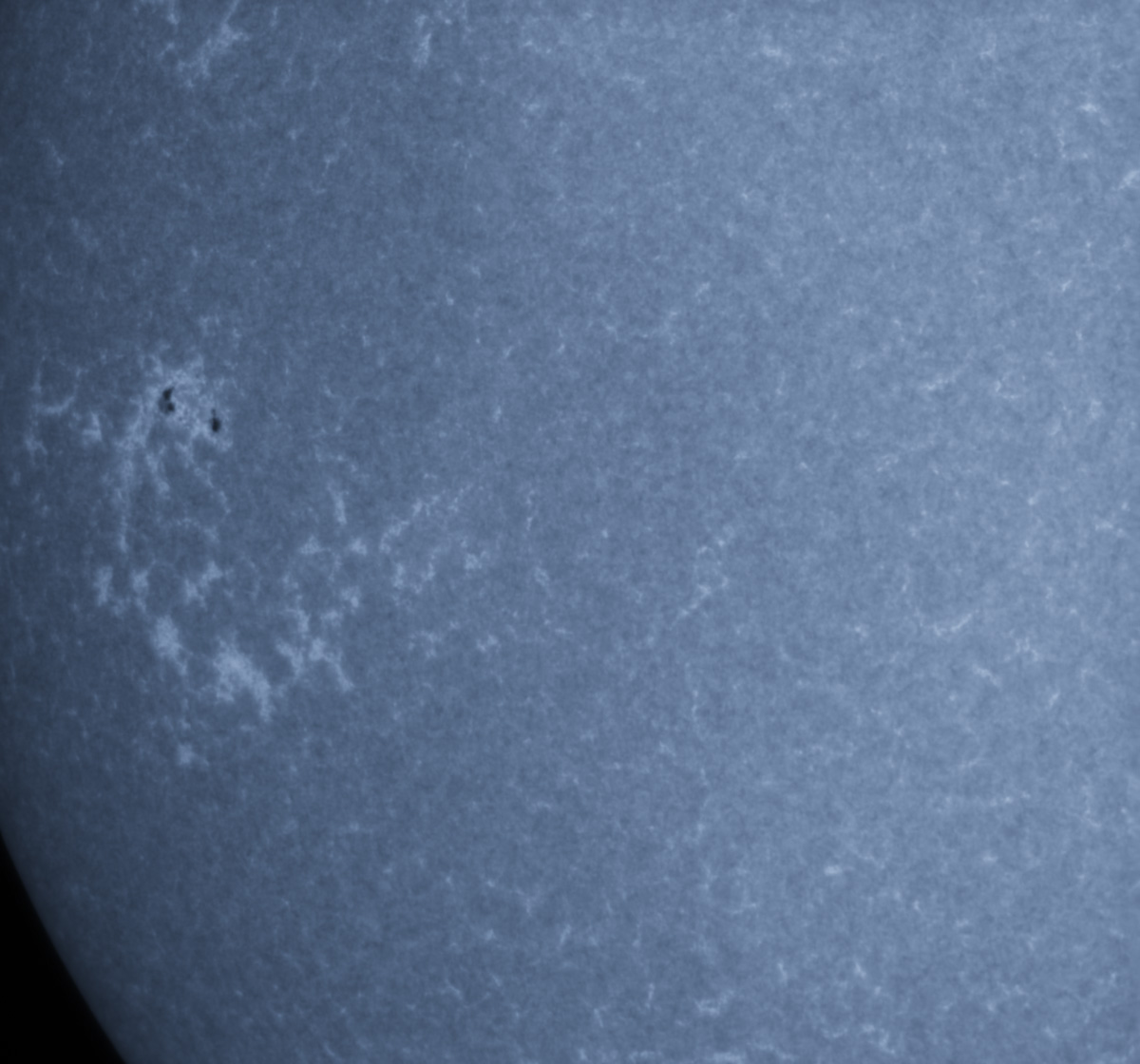 Sunspot 1791 in CaK 07/12/2013