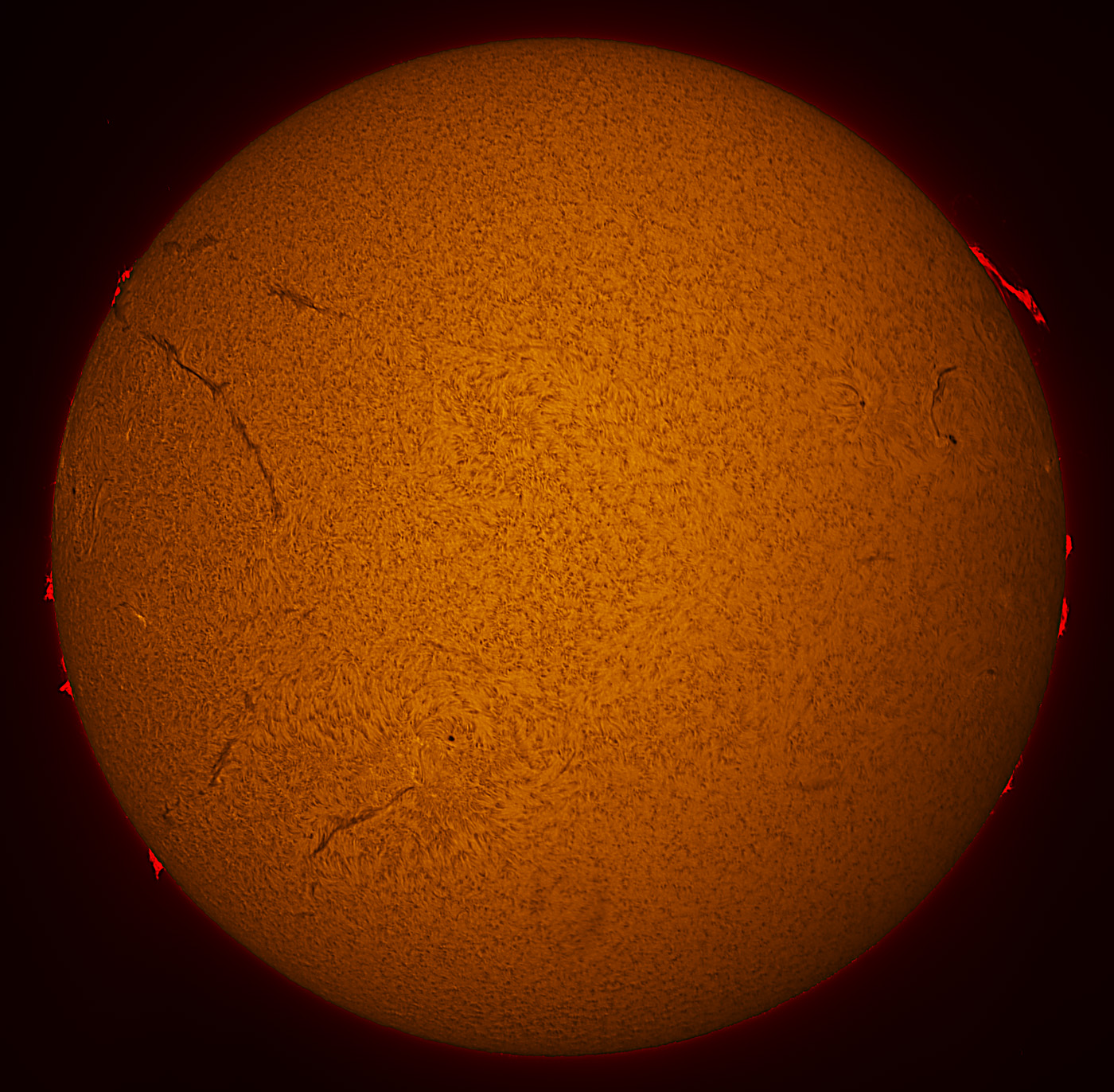 Solar Disk in h-alpha 07/12/2015