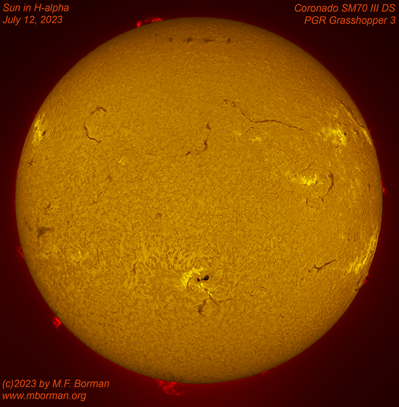 Solar disk in h-alpha 07/12/2023