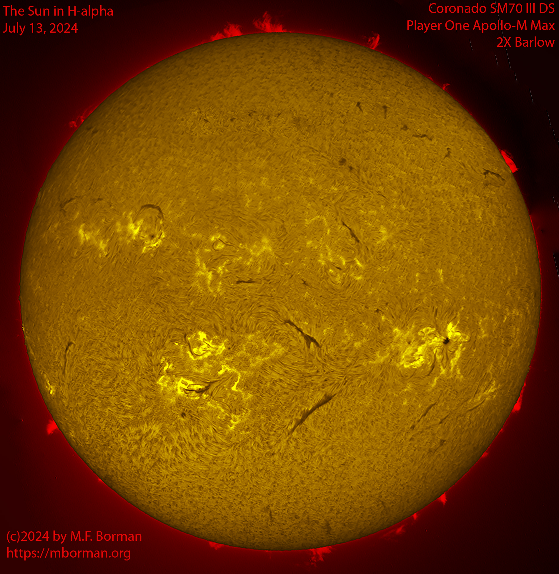 Solar image in h-alpha 07/13/24