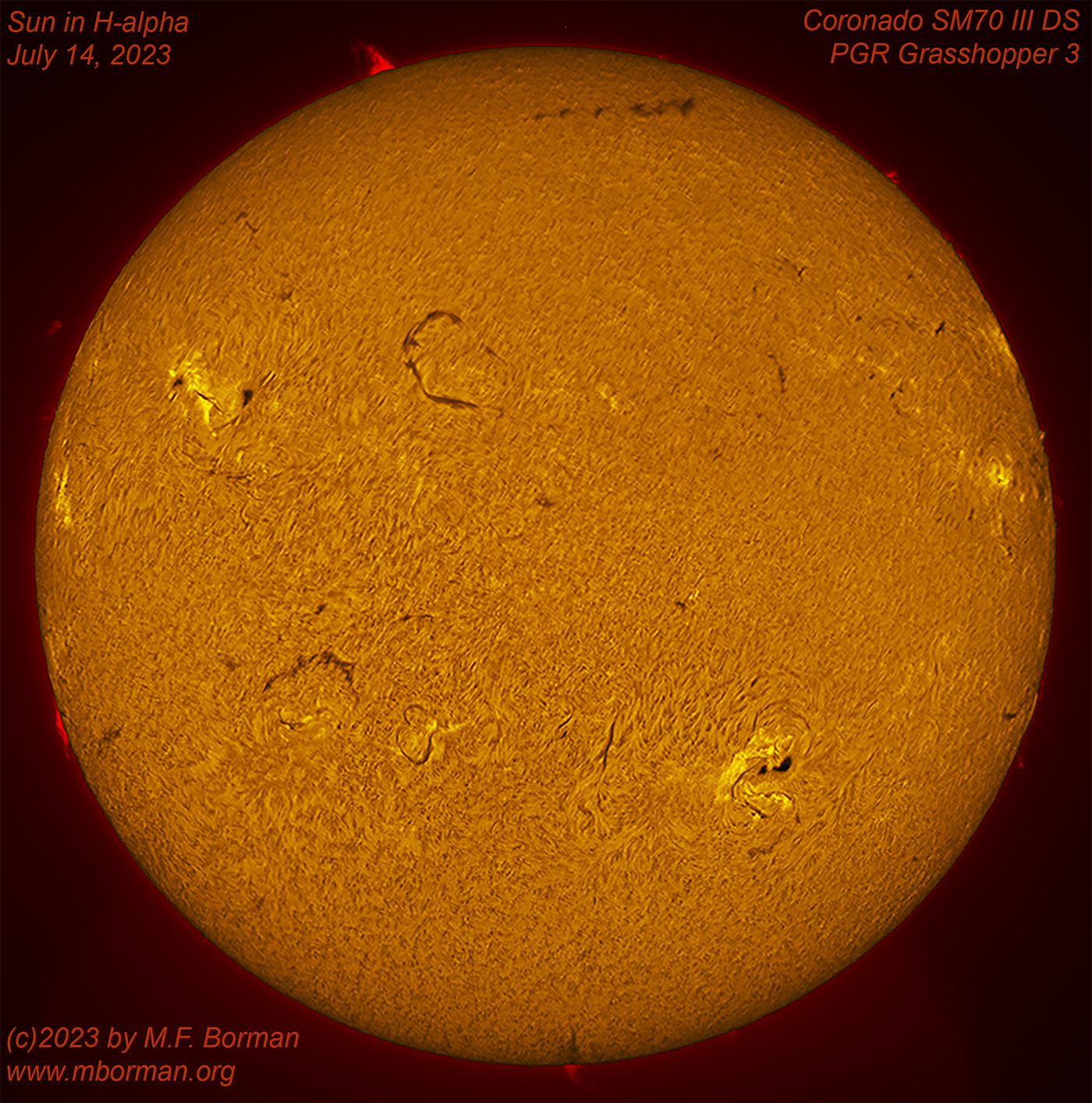 Solar disk in h-alpha 07/14/2023