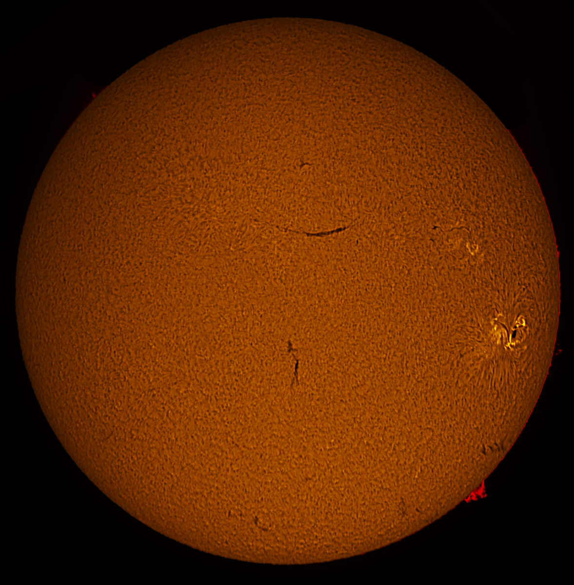 Solar disk in h-alpha 07/15/2017