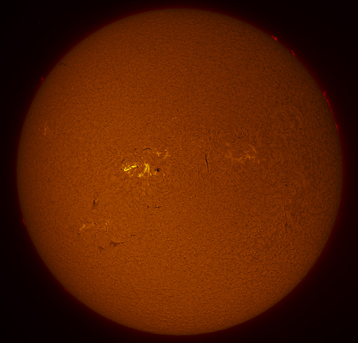 Solar Disk in h-alpha 07/16/2016