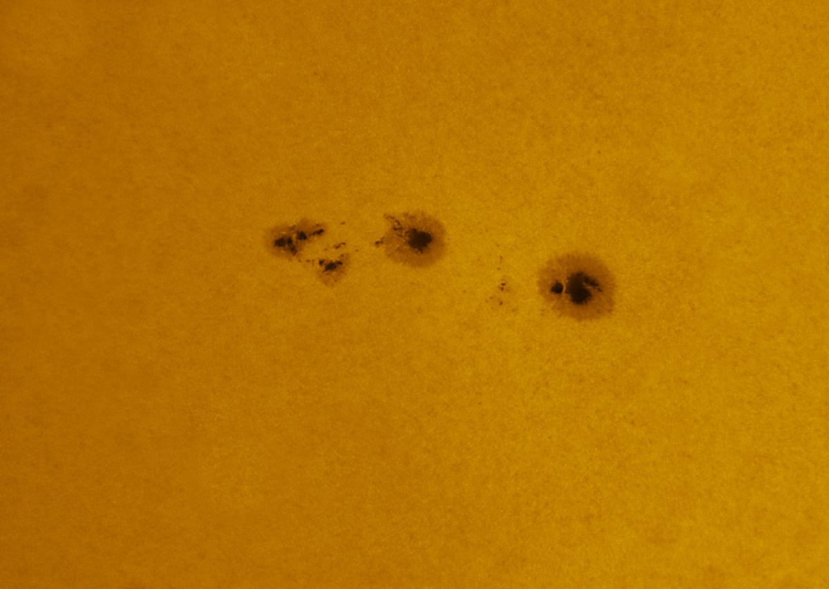 Sunspot 2565 in white light 07/16/2016
