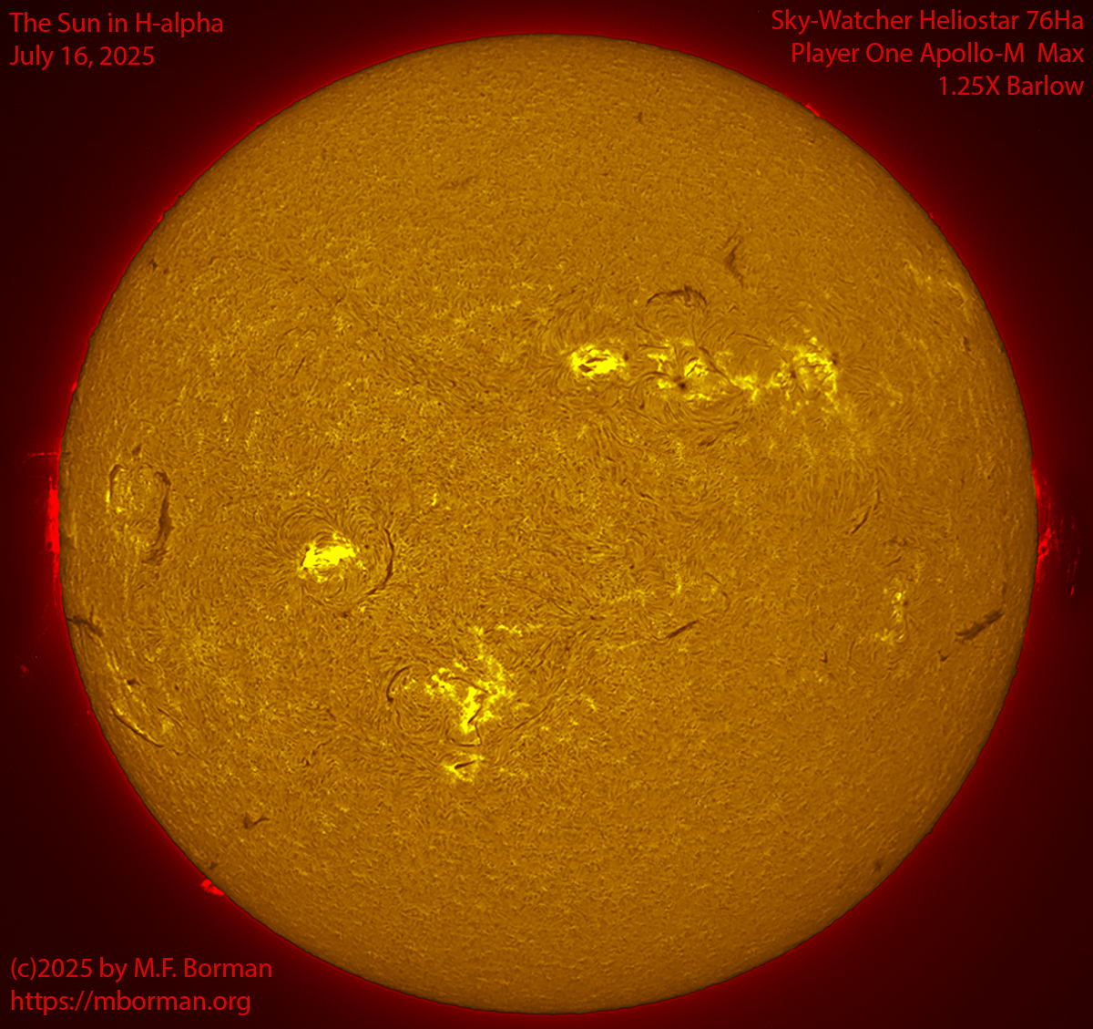 Solar image in h-alpha 07/16/25