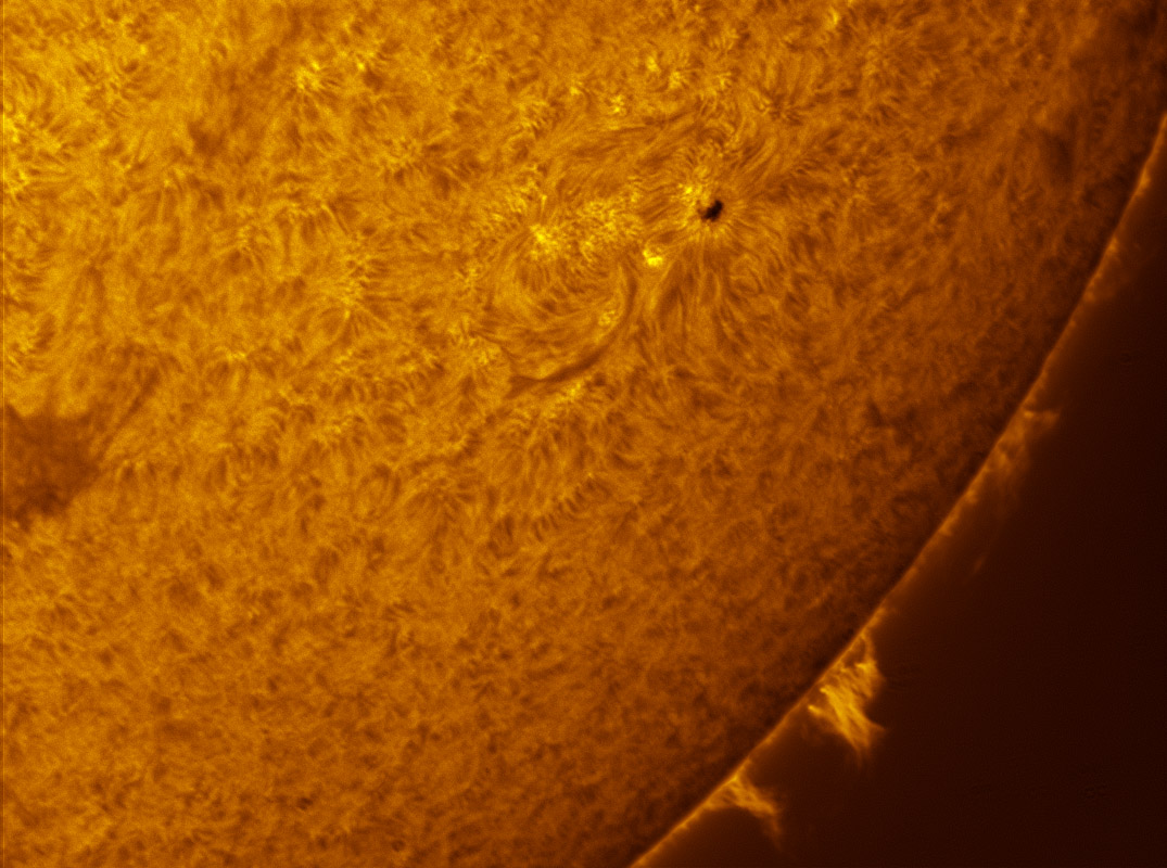 Prominences in h-alpha 07/17/2011