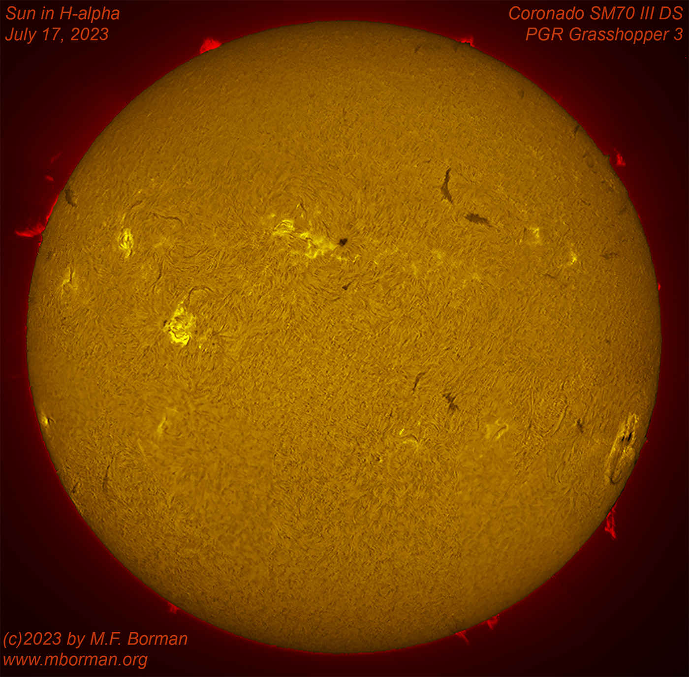 Solar disk in h-alpha 07/17/2023