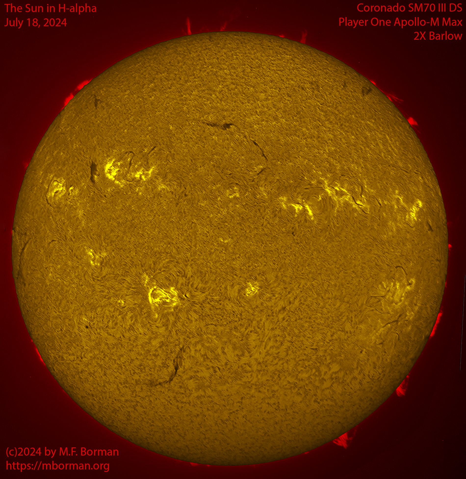 Solar image in h-alpha 07/18/24
