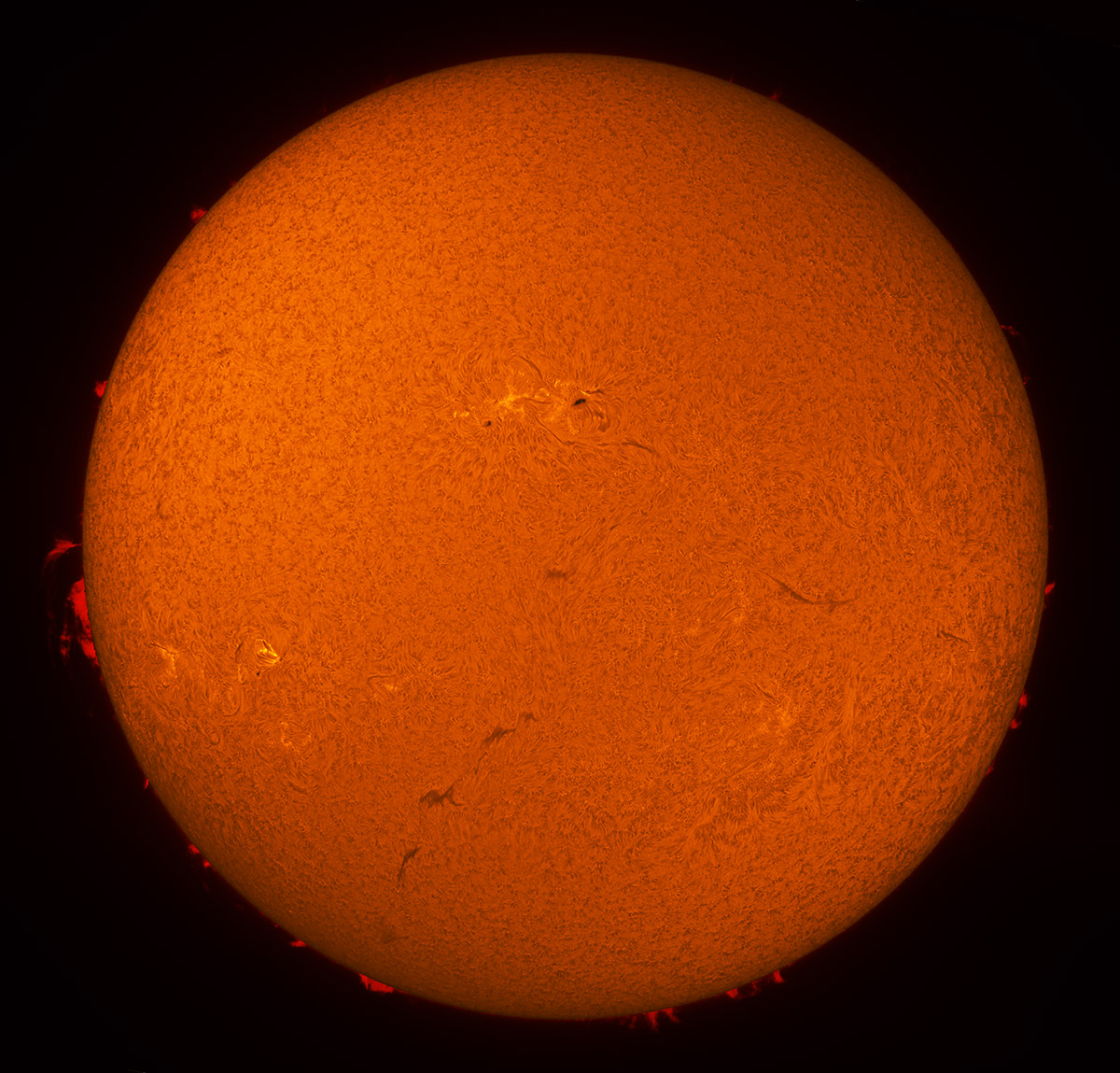 Solar Disk in h-alpha 07/20/2013