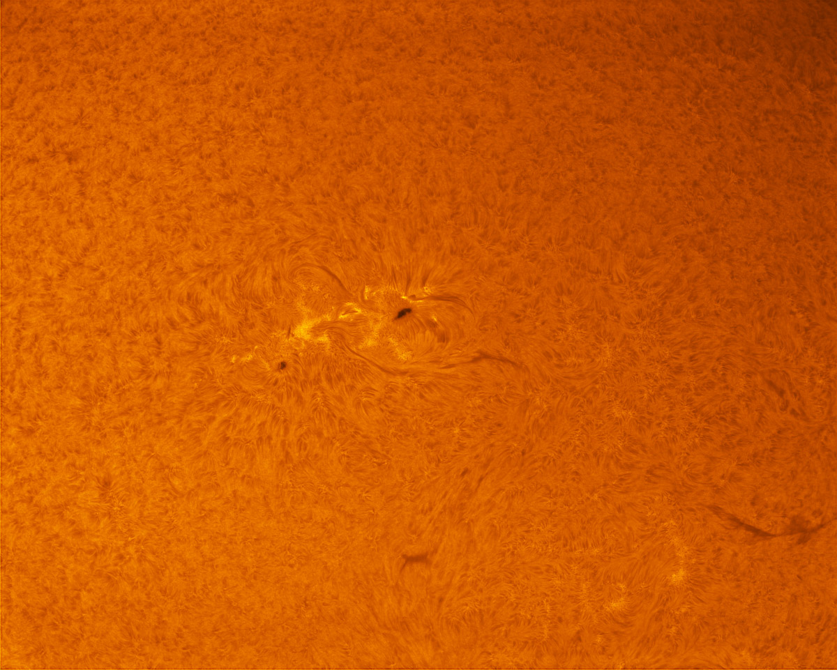 Sunspot 1793 in h-alpha 07/20/2013