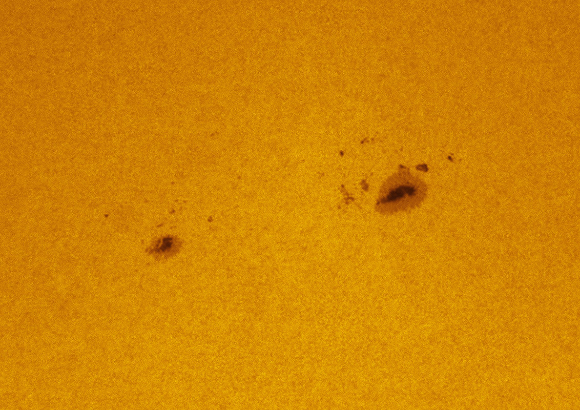 Sunspot 1793 in white light 07/20/2013