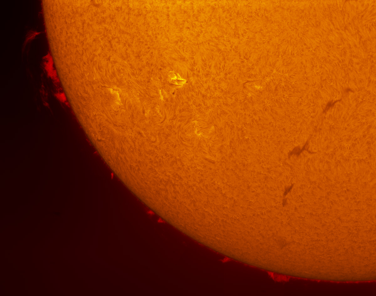 Sunspots 1799, and 1800 in h-alpha 07/20/2013