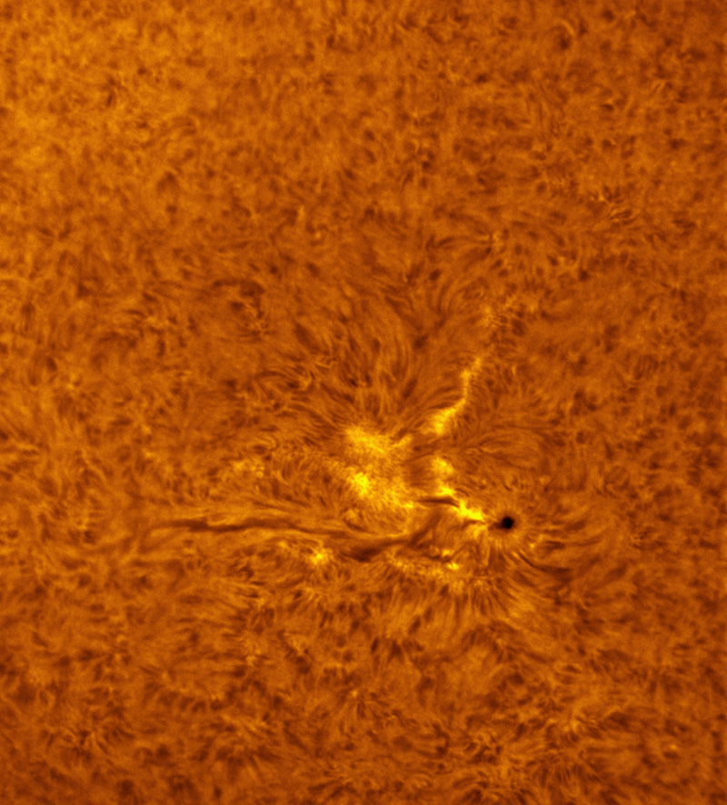 Sunspots 1524 and 1525 in h-alpha 07/21/2012