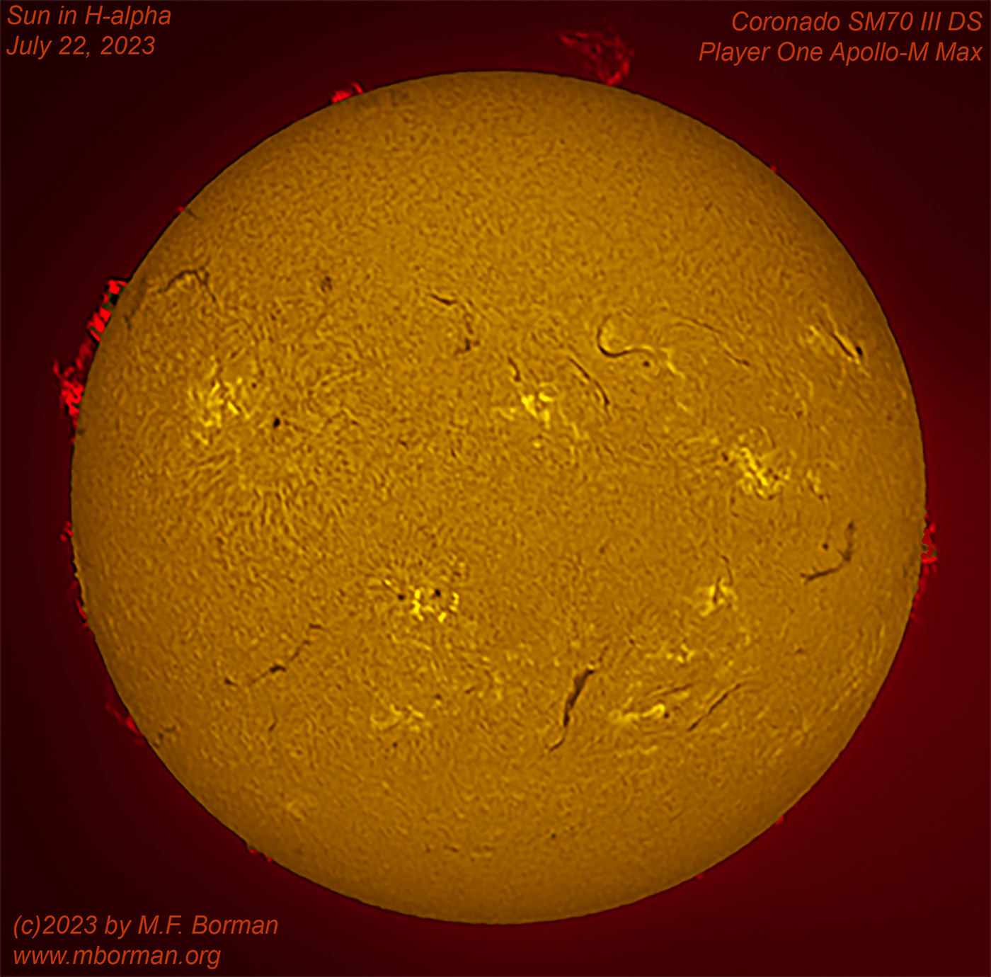 Solar disk in h-alpha 07/22/2023