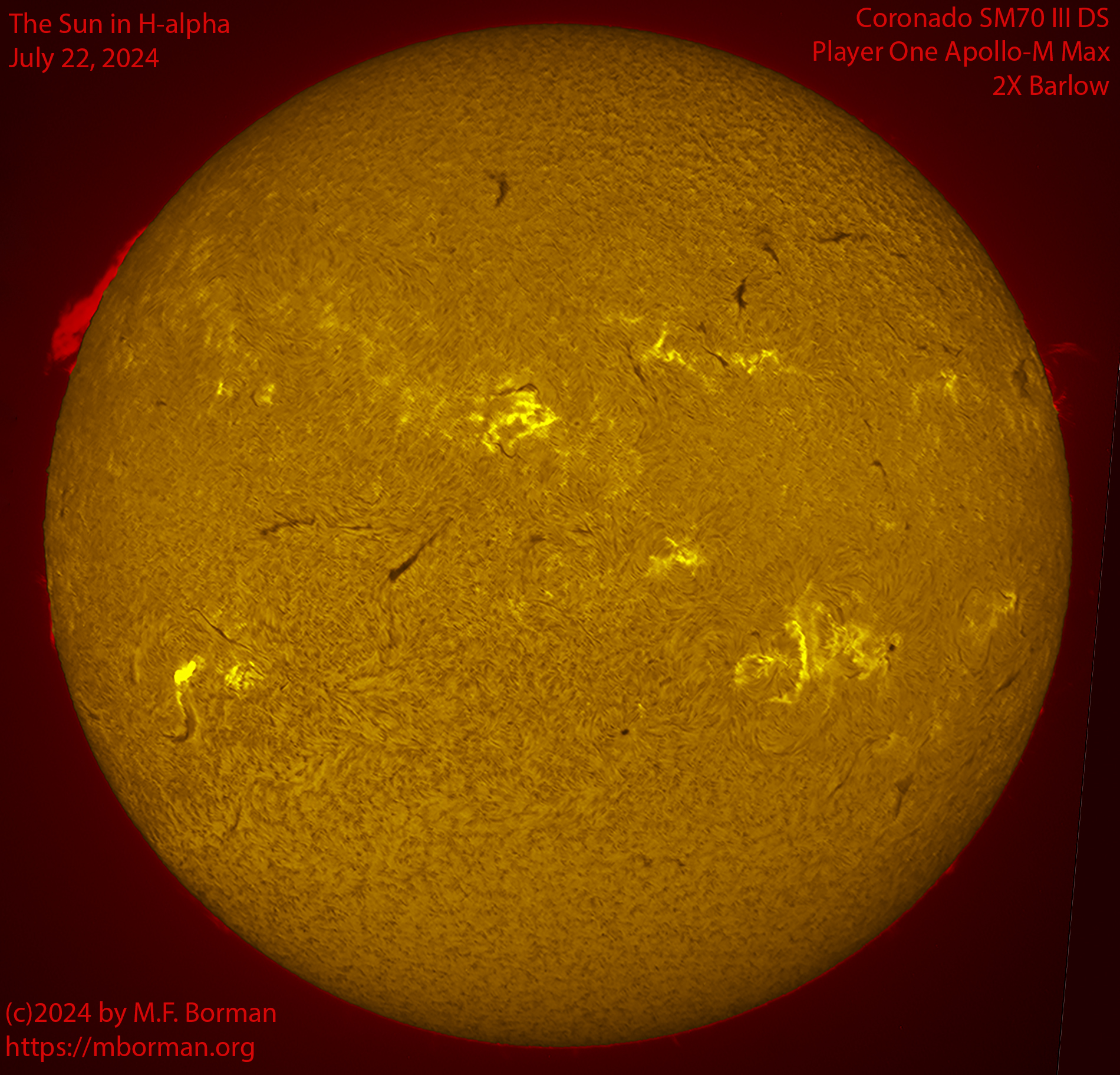 Solar image in h-alpha 07/22/24