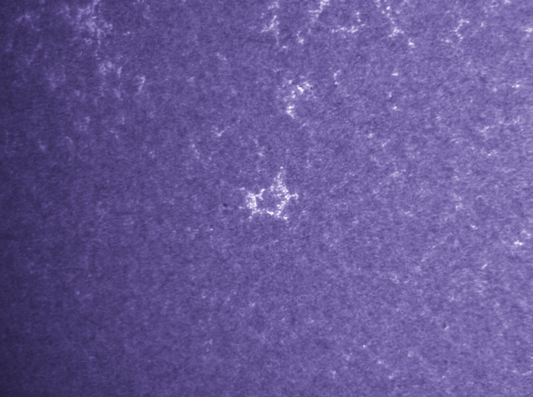 New active region in CaK 7/23/2011