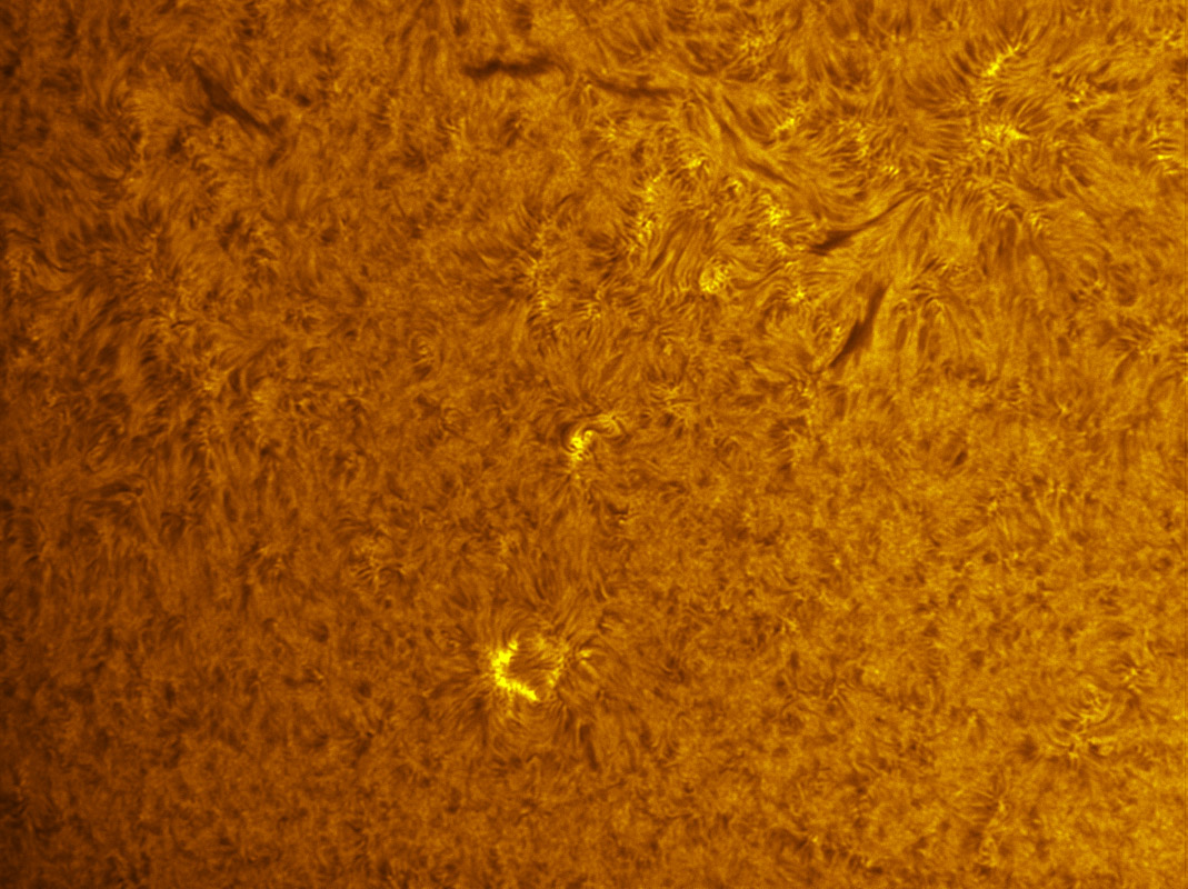 New active region in h-alpha 7/23/2011