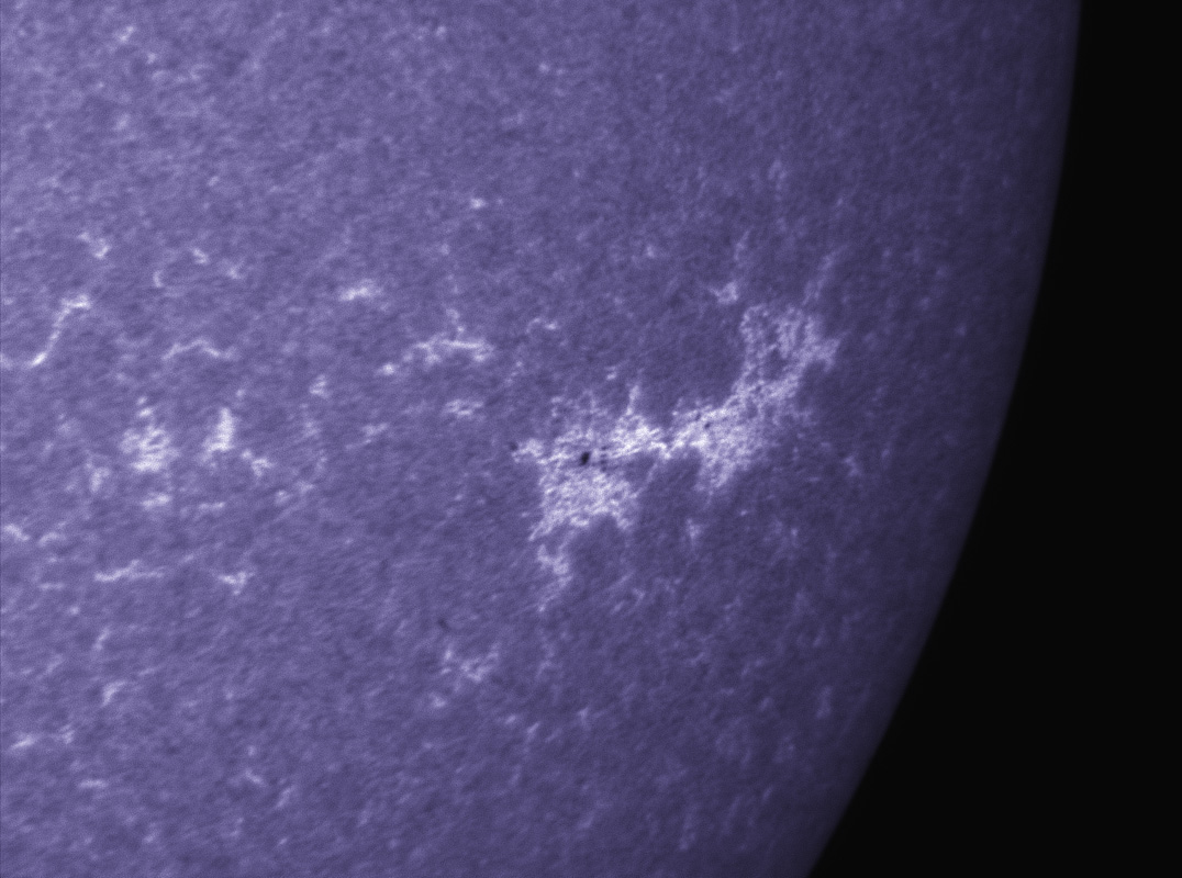 Sunspot 1254 in CaK 7/23/2011