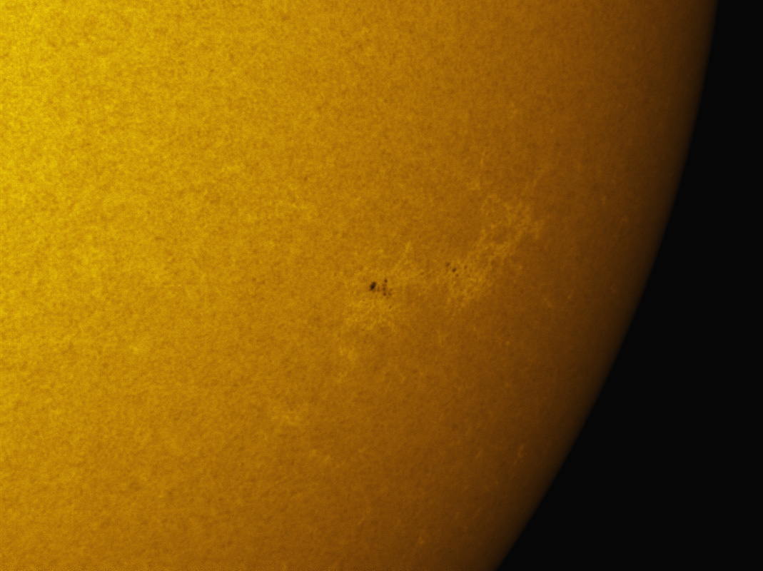 Sunspot 1254 in white light 7/23/2011