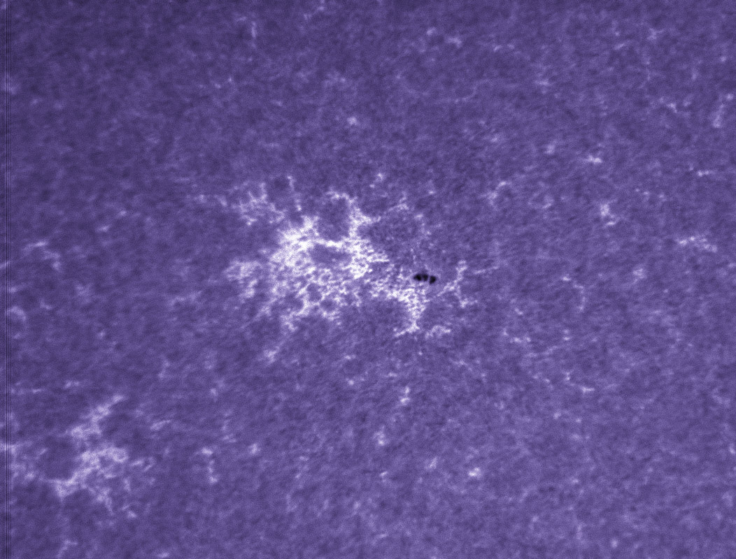 Sunspot 1259 in CaK 7/23/2011
