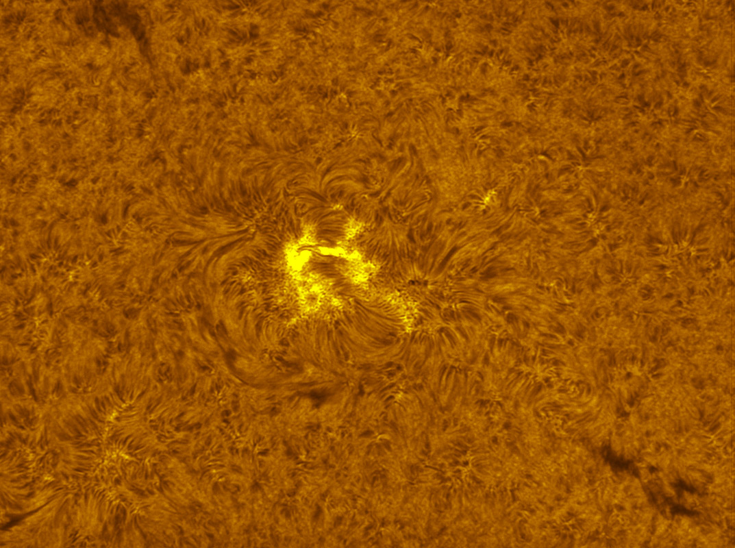 Sunspot 1259 in h-alpha 7/23/2011