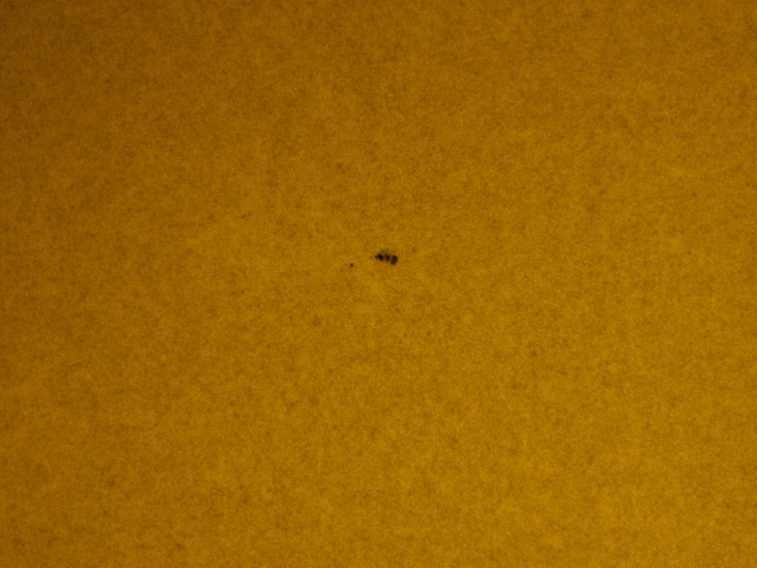Sunspot 1259 in white light 7/23/2011