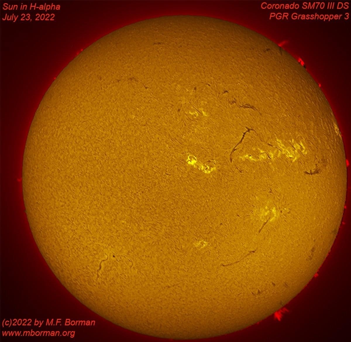 Solar disk in h-alpha 07/23/2022