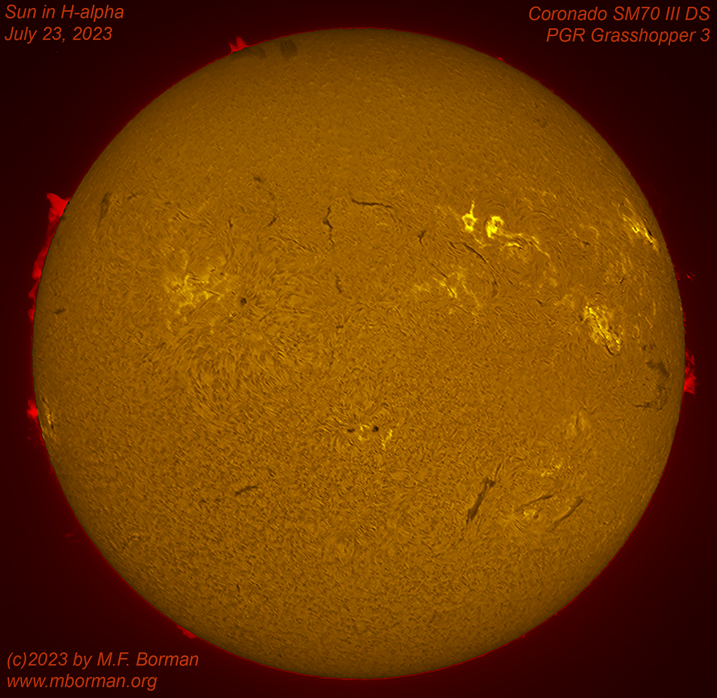 Solar disk in h-alpha 07/23/2023