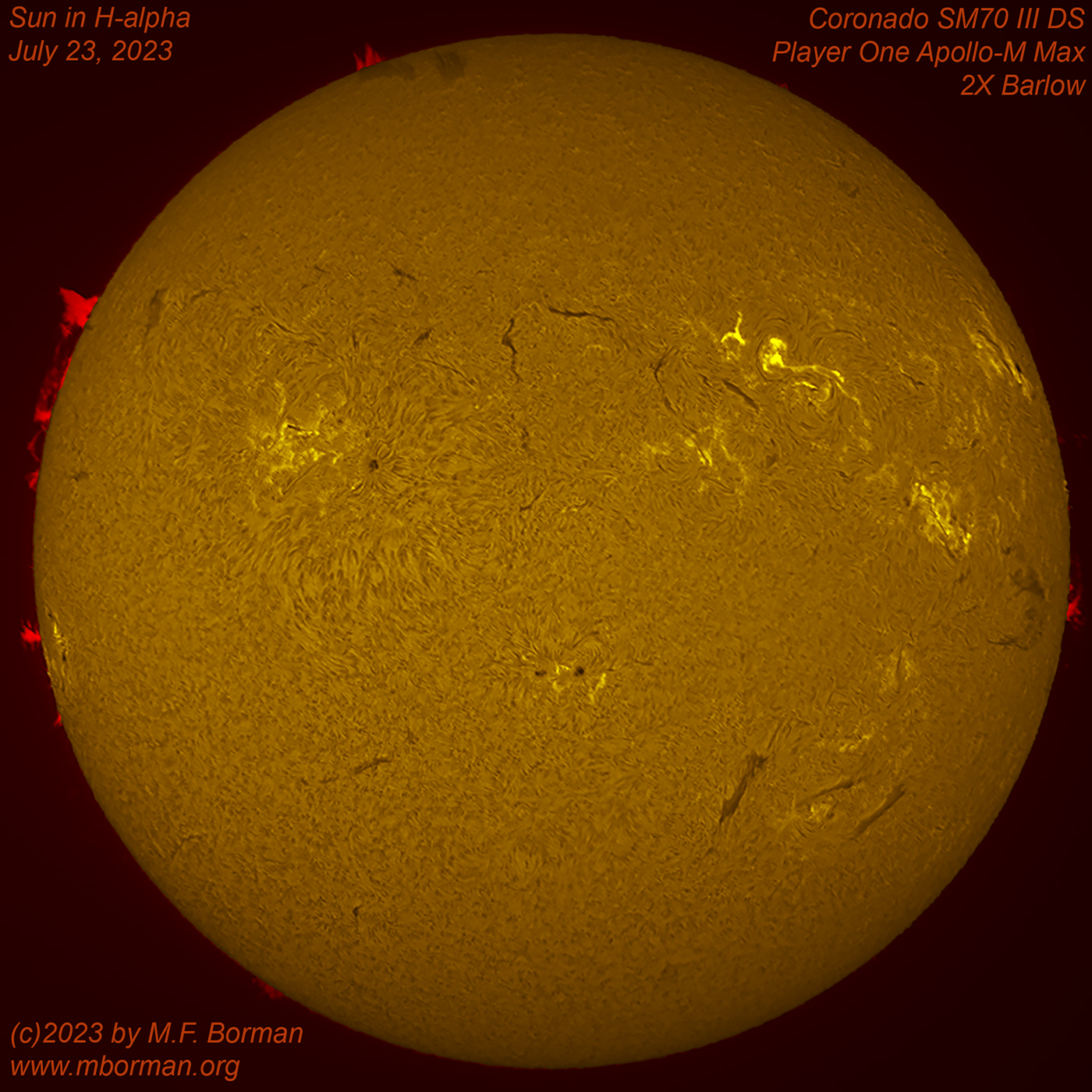 Solar disk in h-alpha 07/23/2023