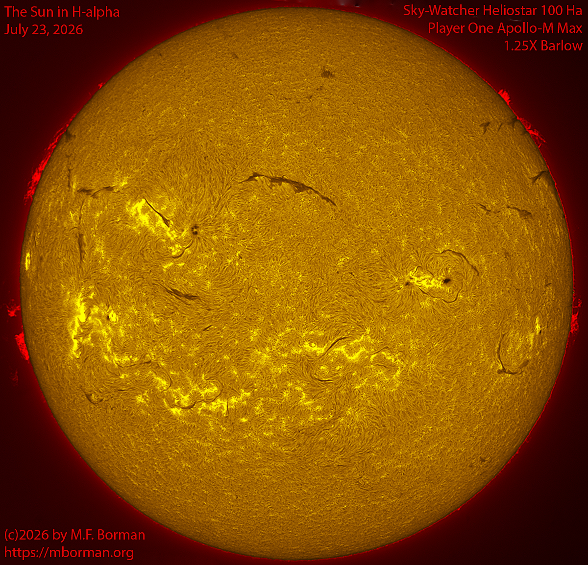 Solar image in h-alpha 07/23/26