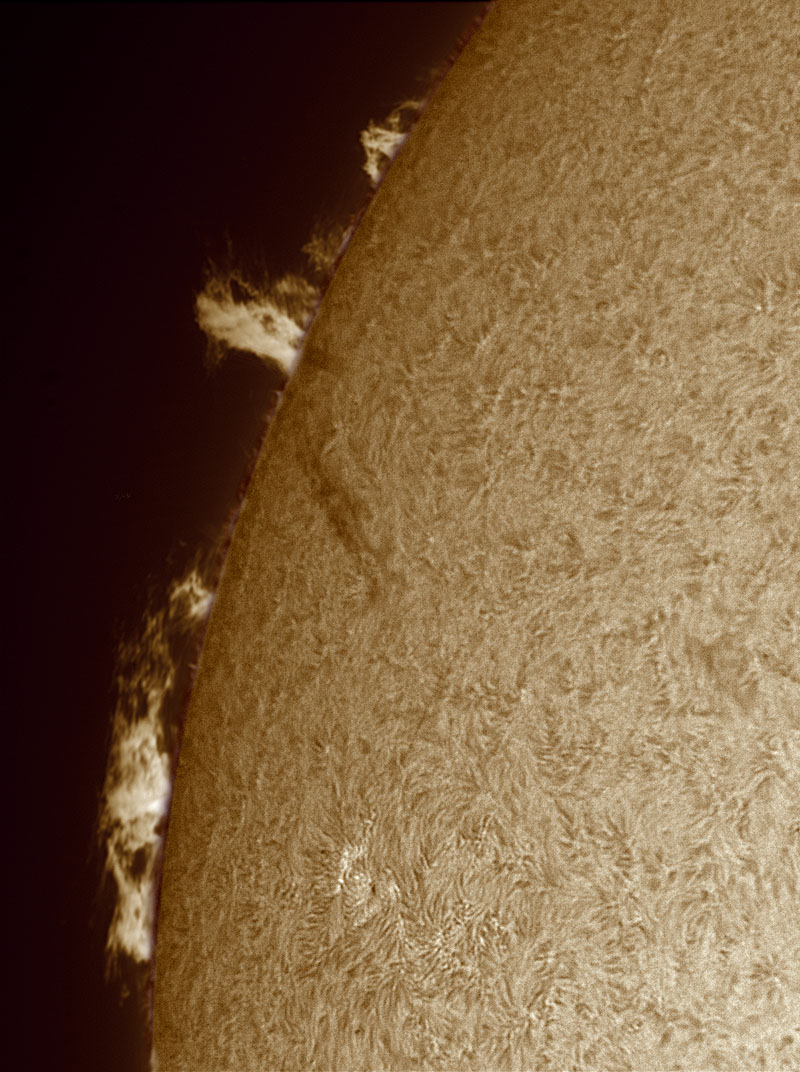 Solar Prominence in h-alpha 7/24/2010