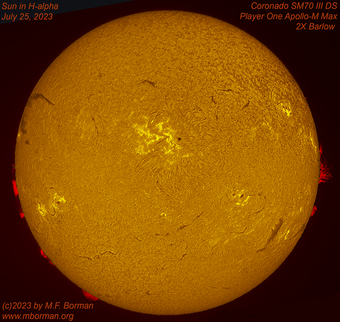 Solar disk in h-alpha 07/25/2023
