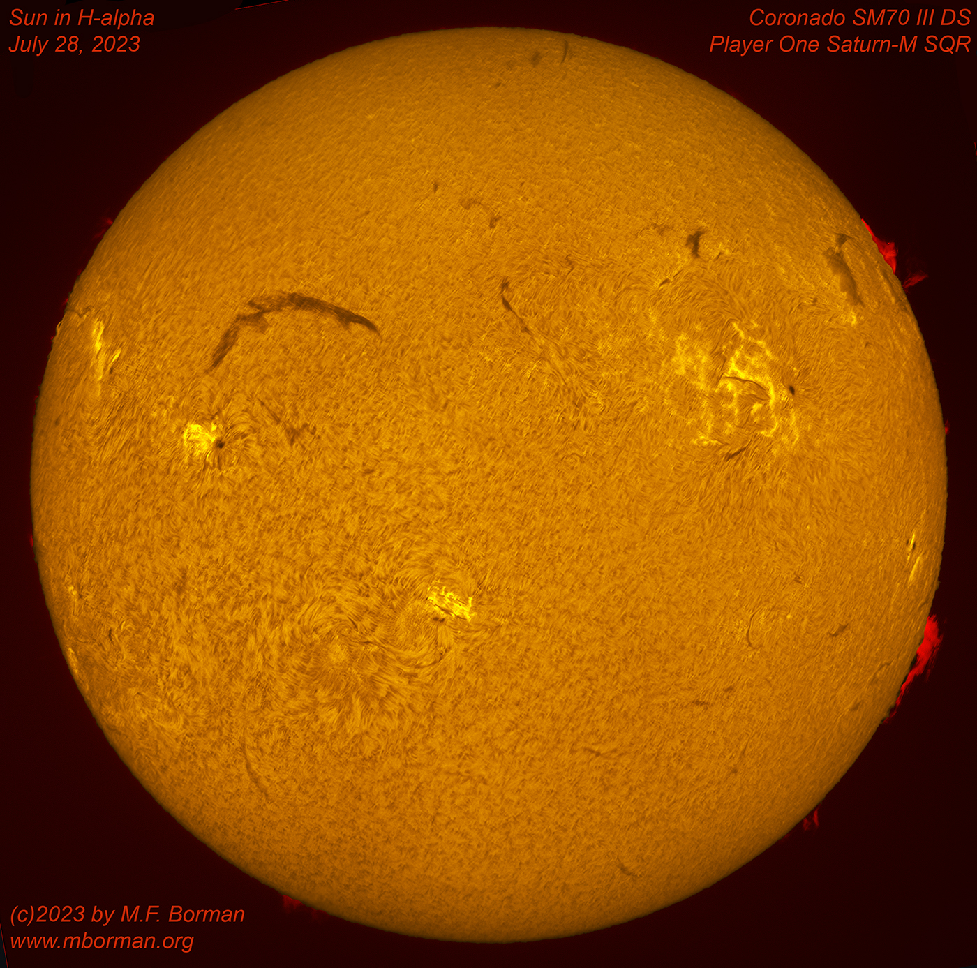 Solar disk in h-alpha 07/28/2023