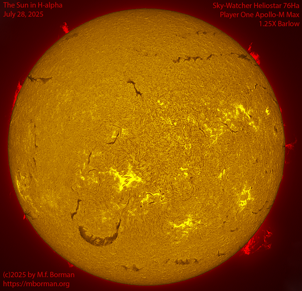 Solar image in h-alpha 07/28/25