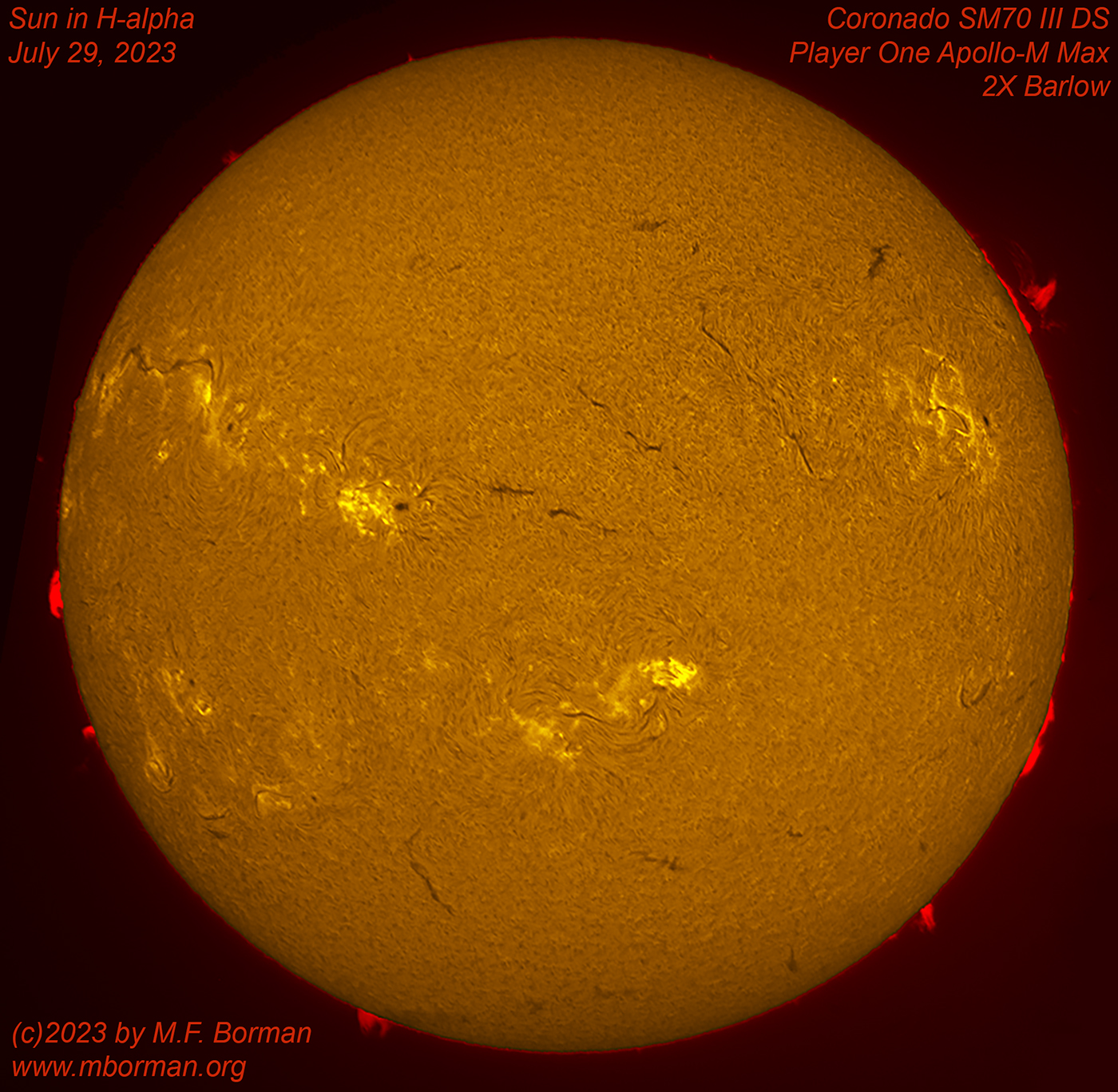 Solar disk in h-alpha 07/29/2023