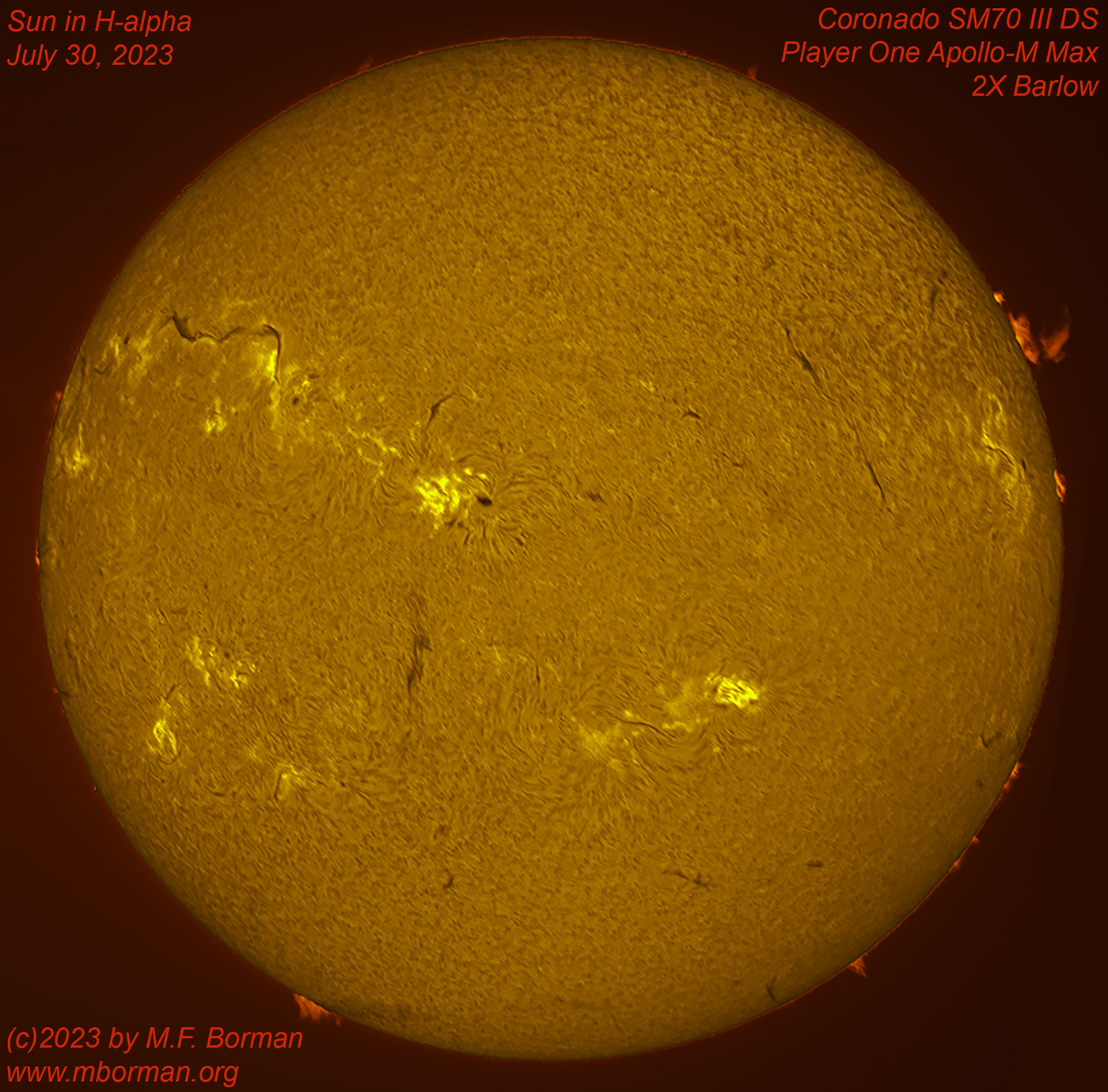 Solar disk in h-alpha 07/30/2023