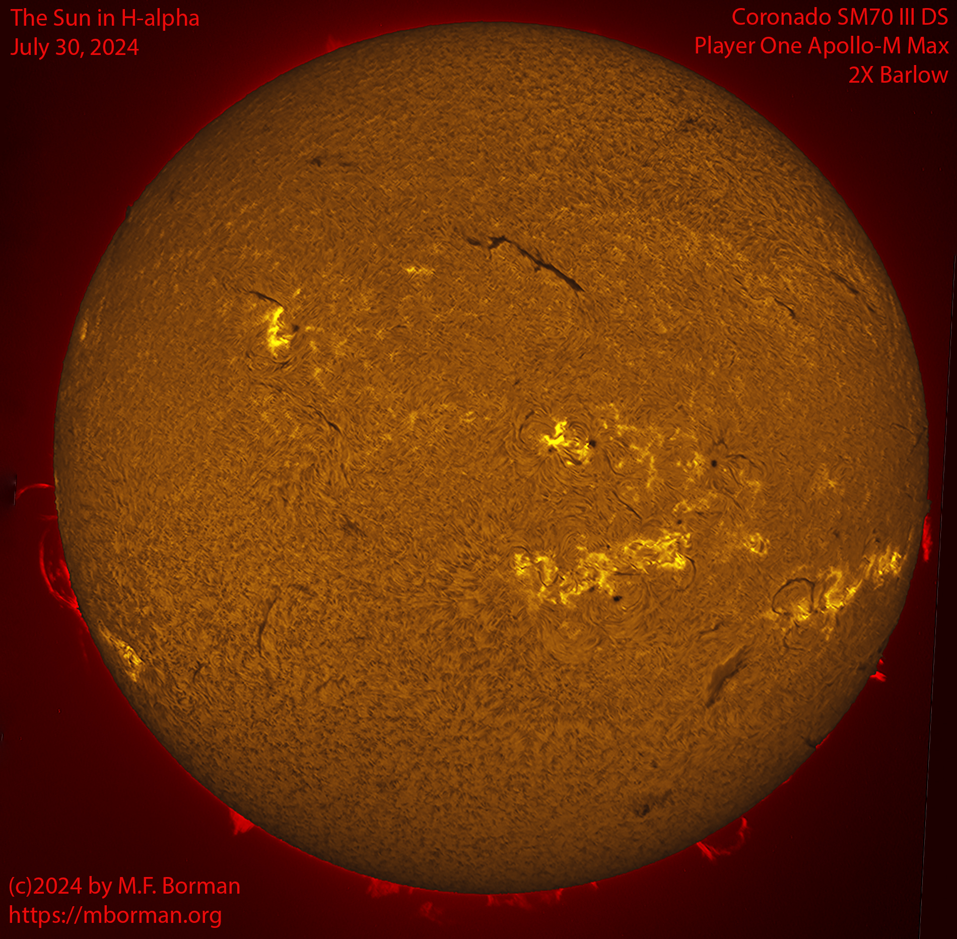 Solar image in h-alpha 07/30/24