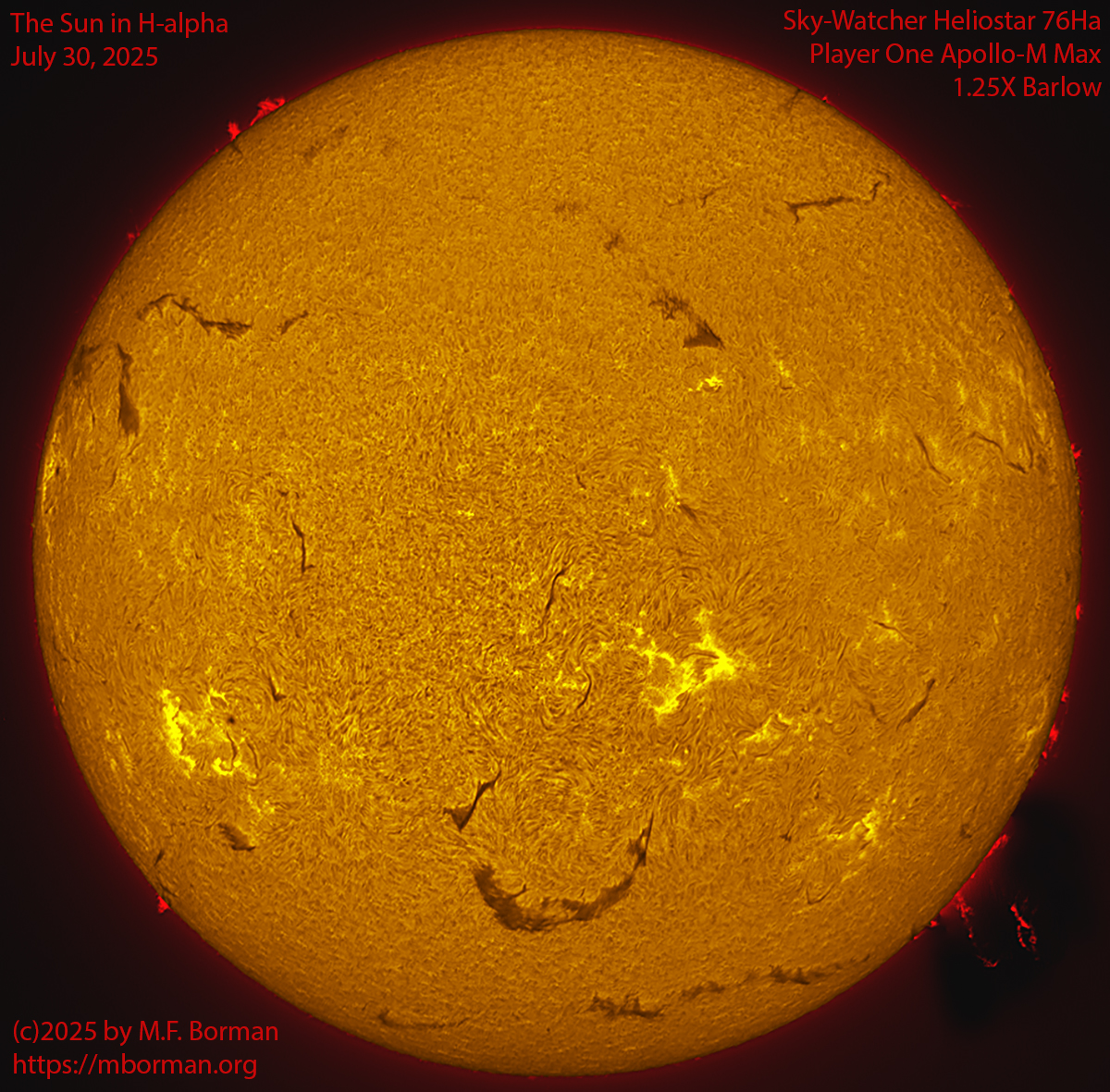 Solar image in h-alpha 07/30/25