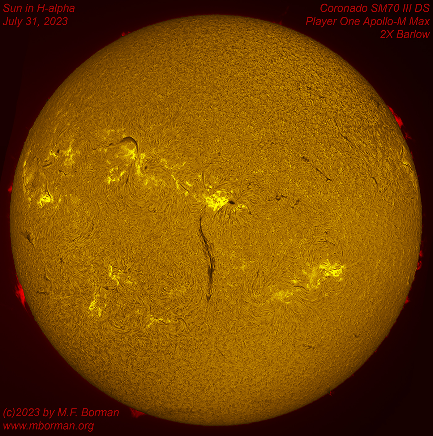 Solar disk in h-alpha 07/31/2023