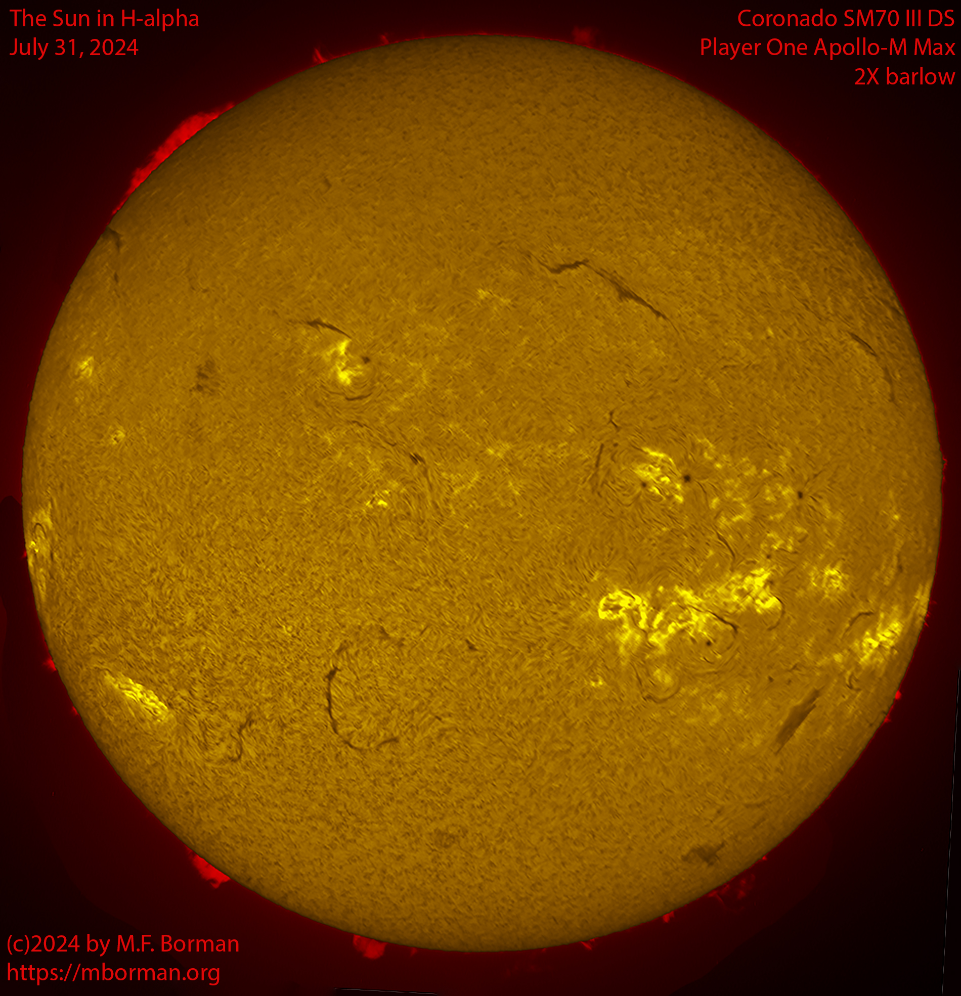 Solar image in h-alpha 07/31/24