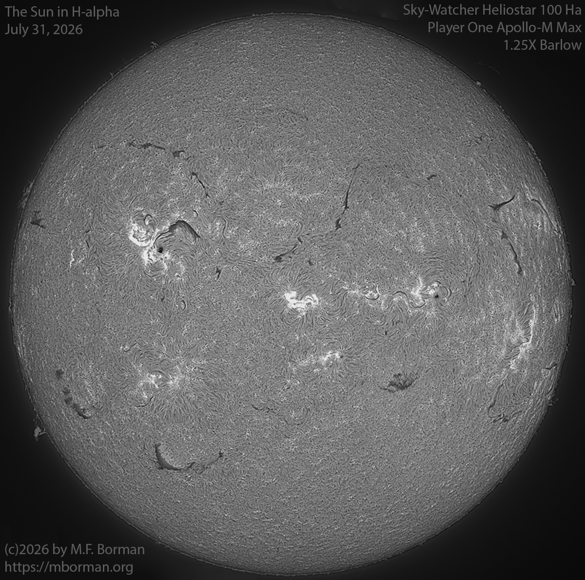 Solar image in h-alpha 07/31/26
