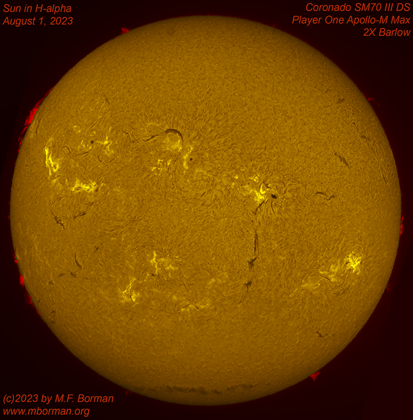 Solar disk in h-alpha 08/01/2023