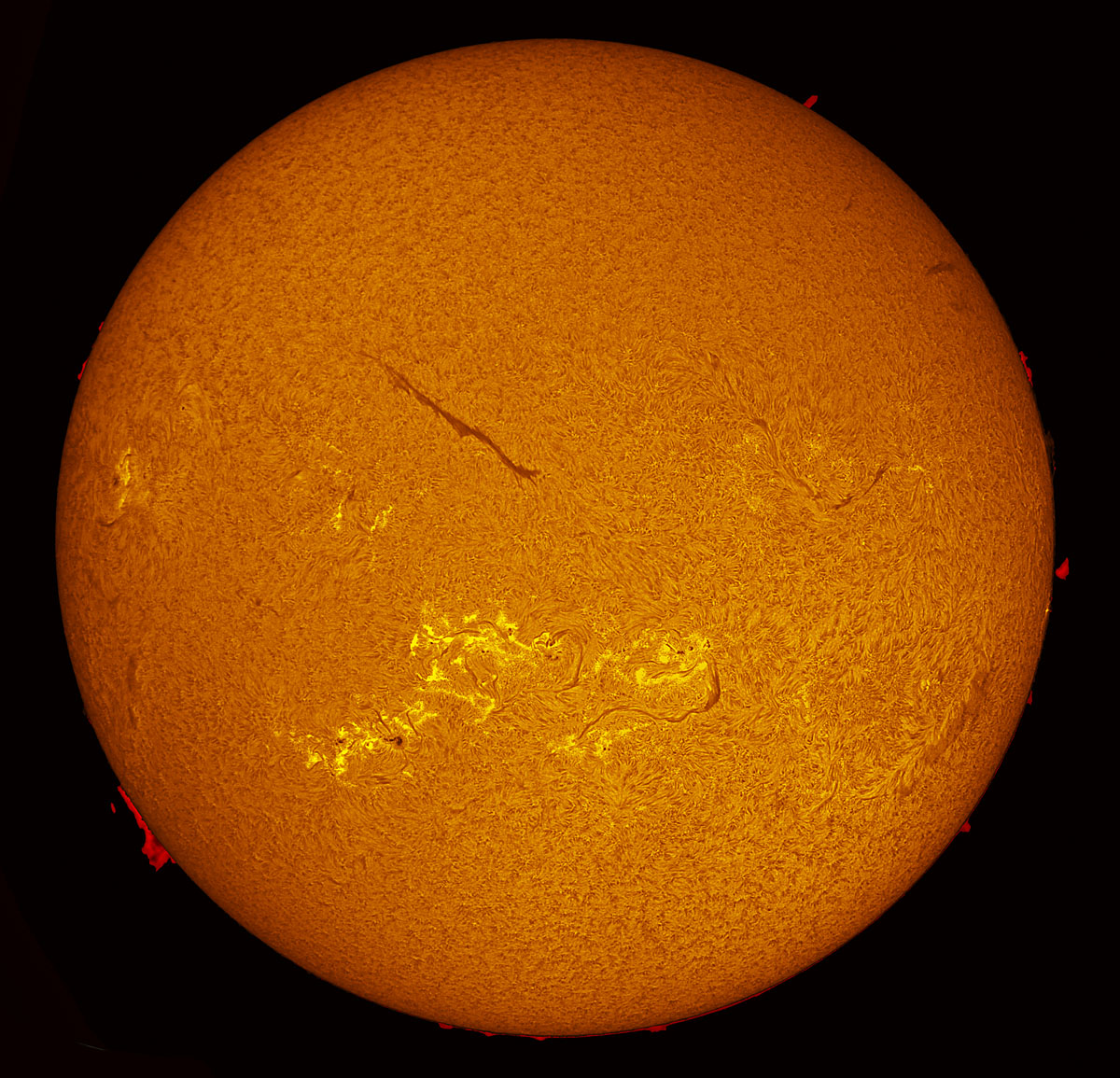 Solar Disk in h-alpha 08/03/2014