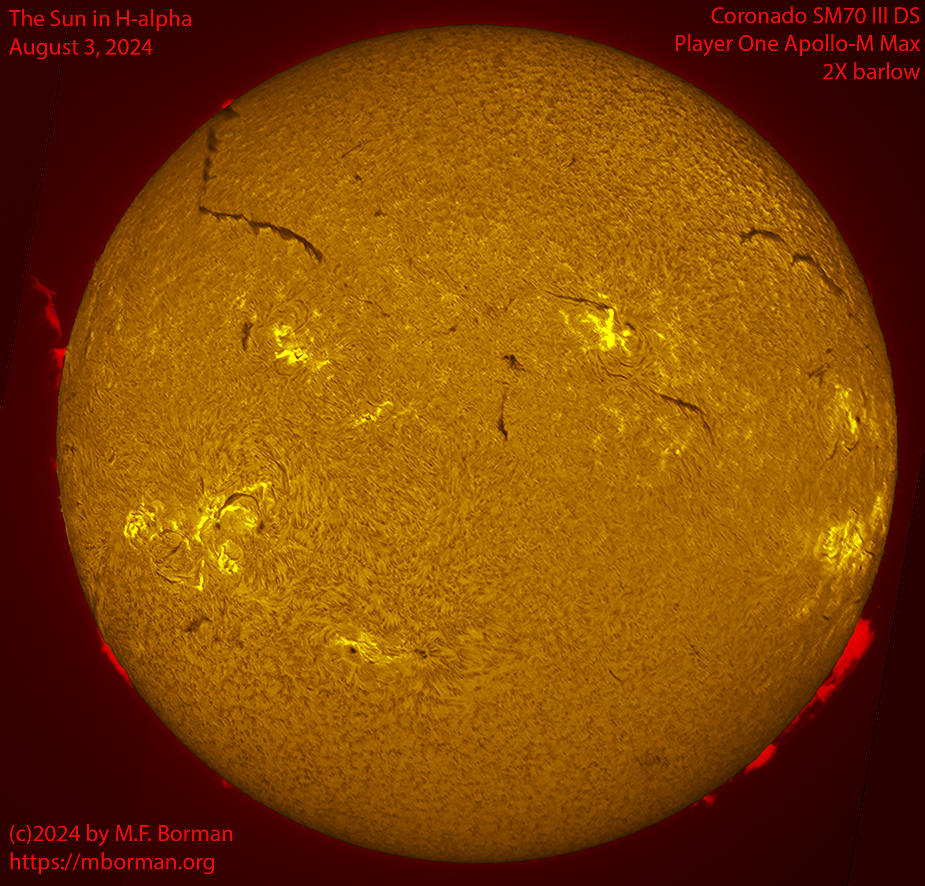 Solar image in h-alpha 08/03/24