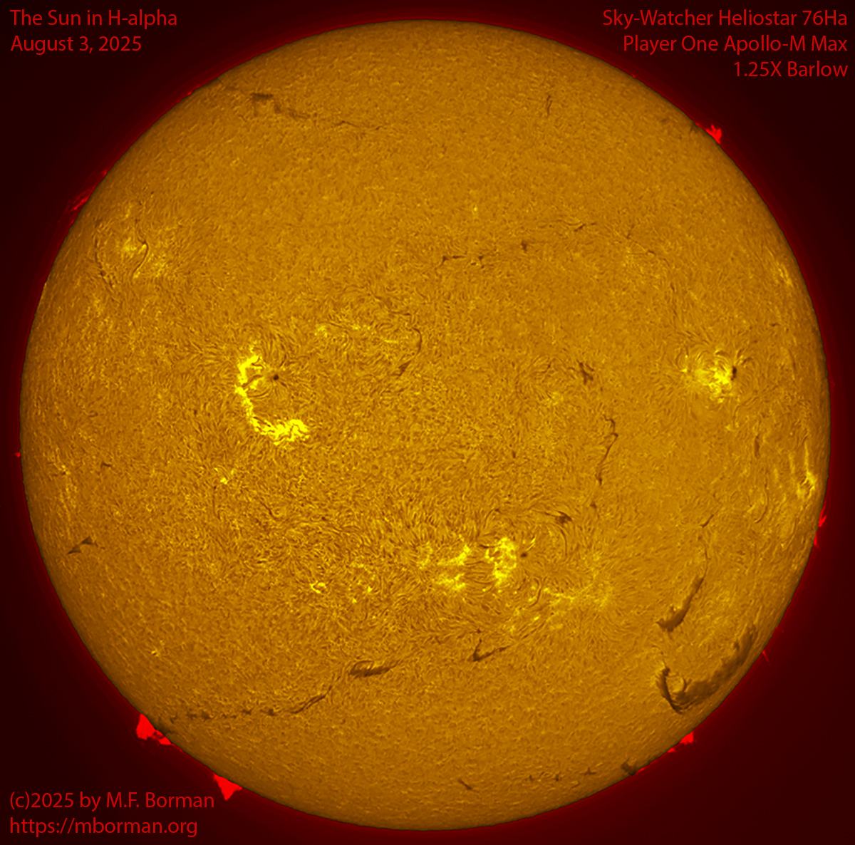 Solar image in h-alpha 08/03/25