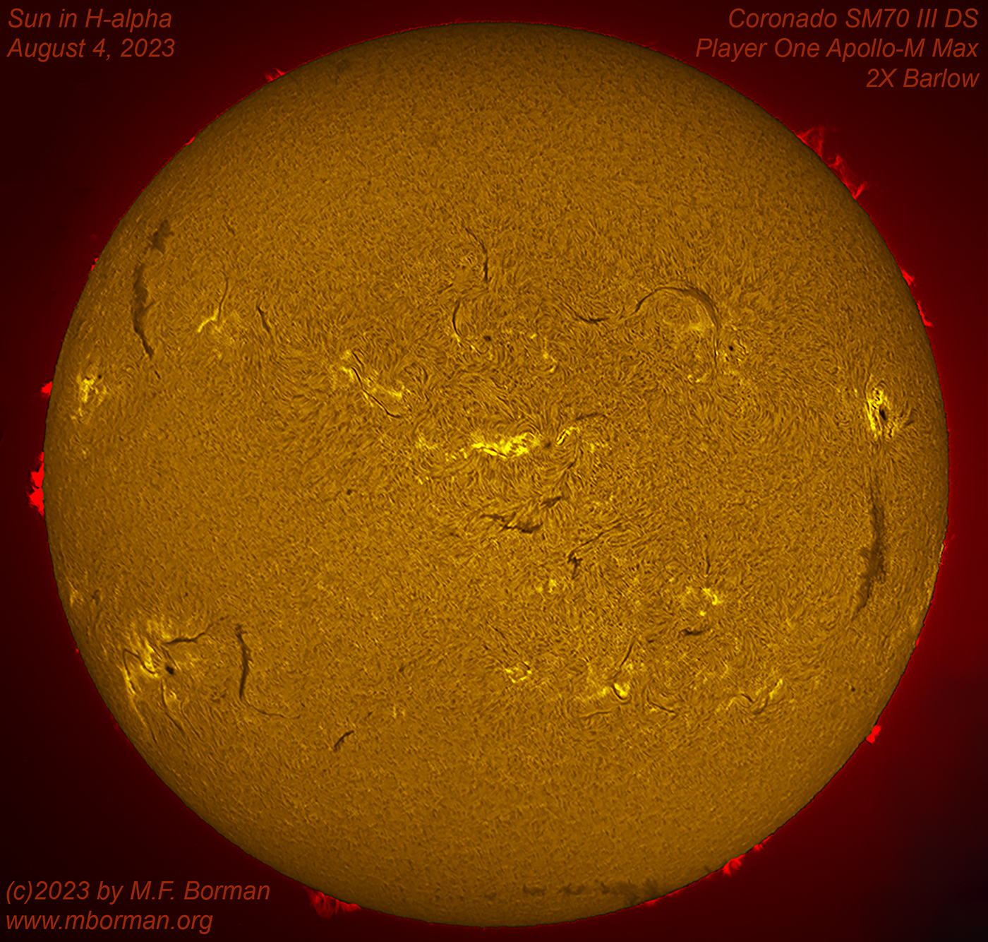 Solar disk in h-alpha 08/04/2023