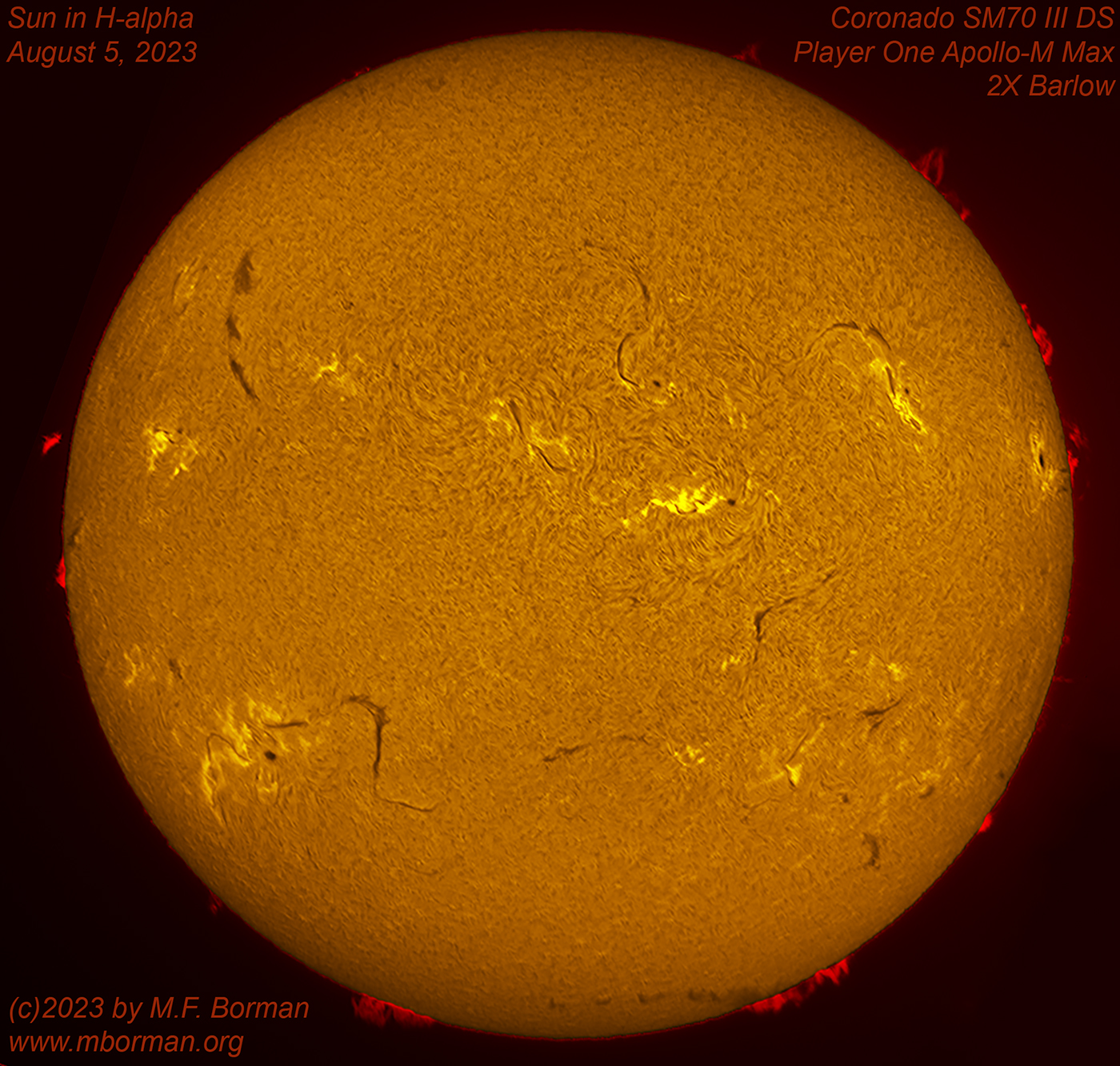 Solar disk in h-alpha 08/05/2023