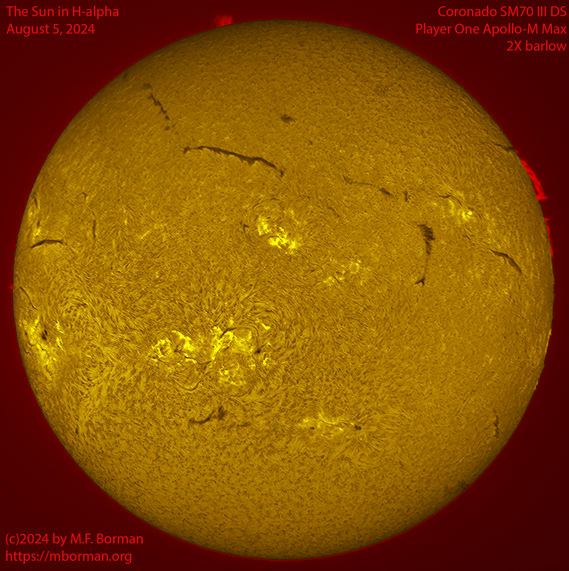 Solar image in h-alpha 08/05/24